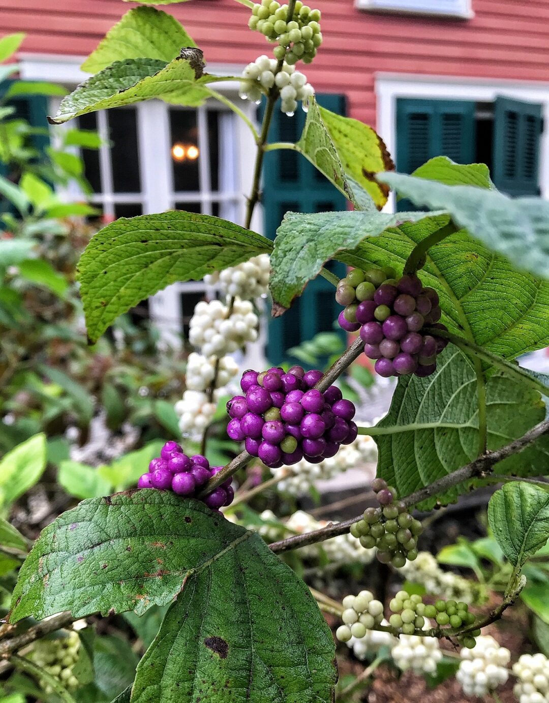 Deering Estate in Miami Florida Vacation Auction