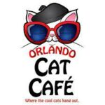 Orlando Cat Cafe