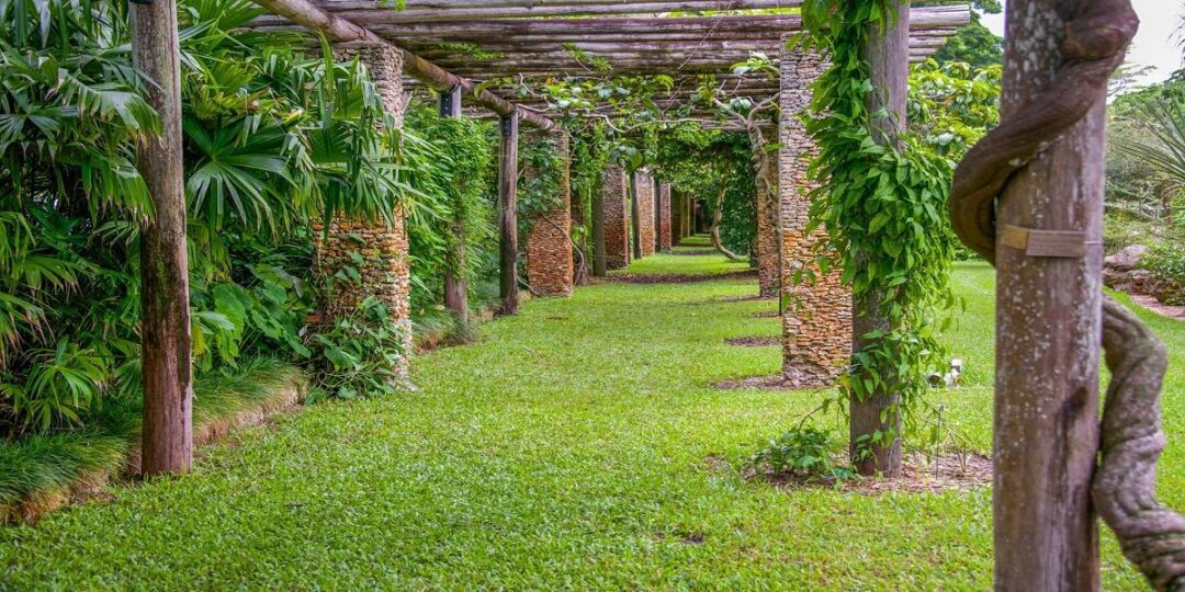 Fairchild Botanic Tropical Garden in Miami – Florida Vacation Auction
