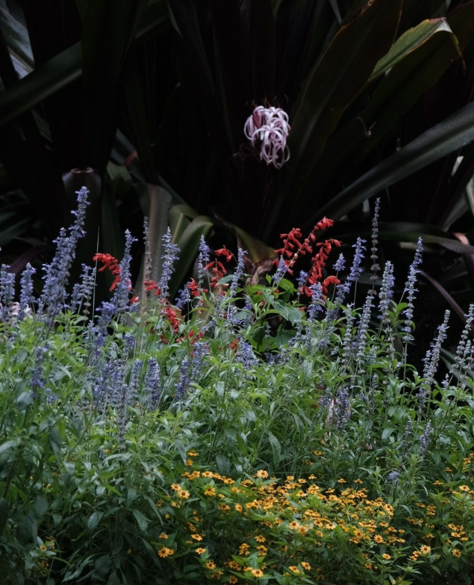 Bok Tower Gardens in Lake Wales - Image 4