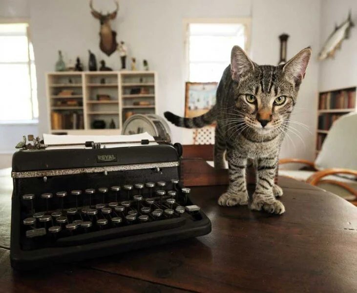 The Hemingway Home & Museum in Key West - Image 7